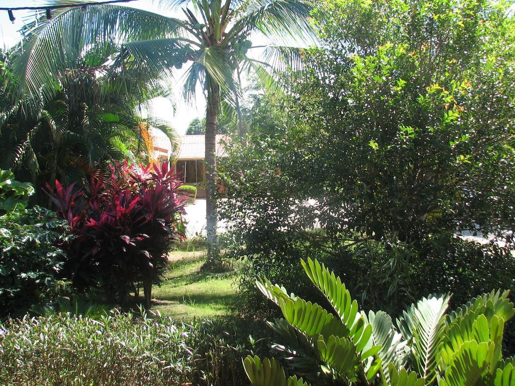 Hotel La Arena Liberia Ngoại thất bức ảnh