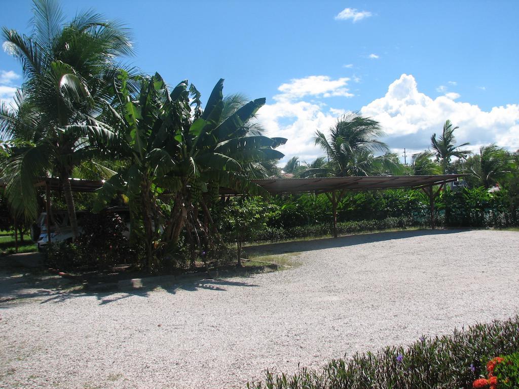 Hotel La Arena Liberia Ngoại thất bức ảnh