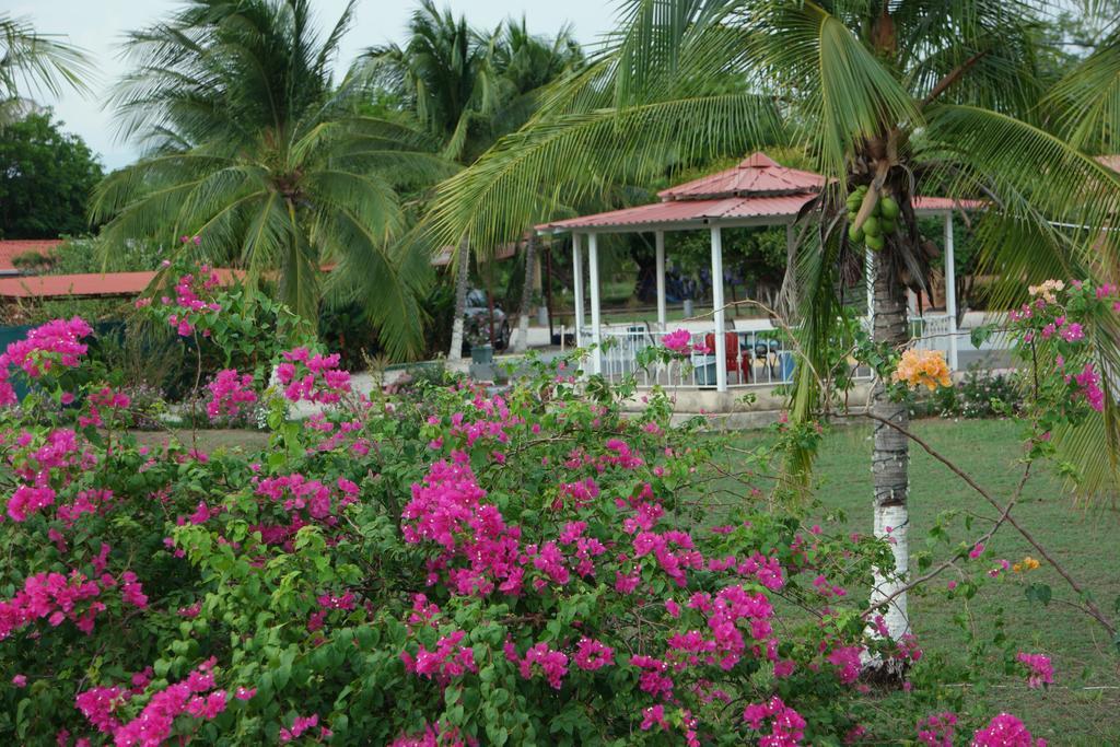 Hotel La Arena Liberia Ngoại thất bức ảnh
