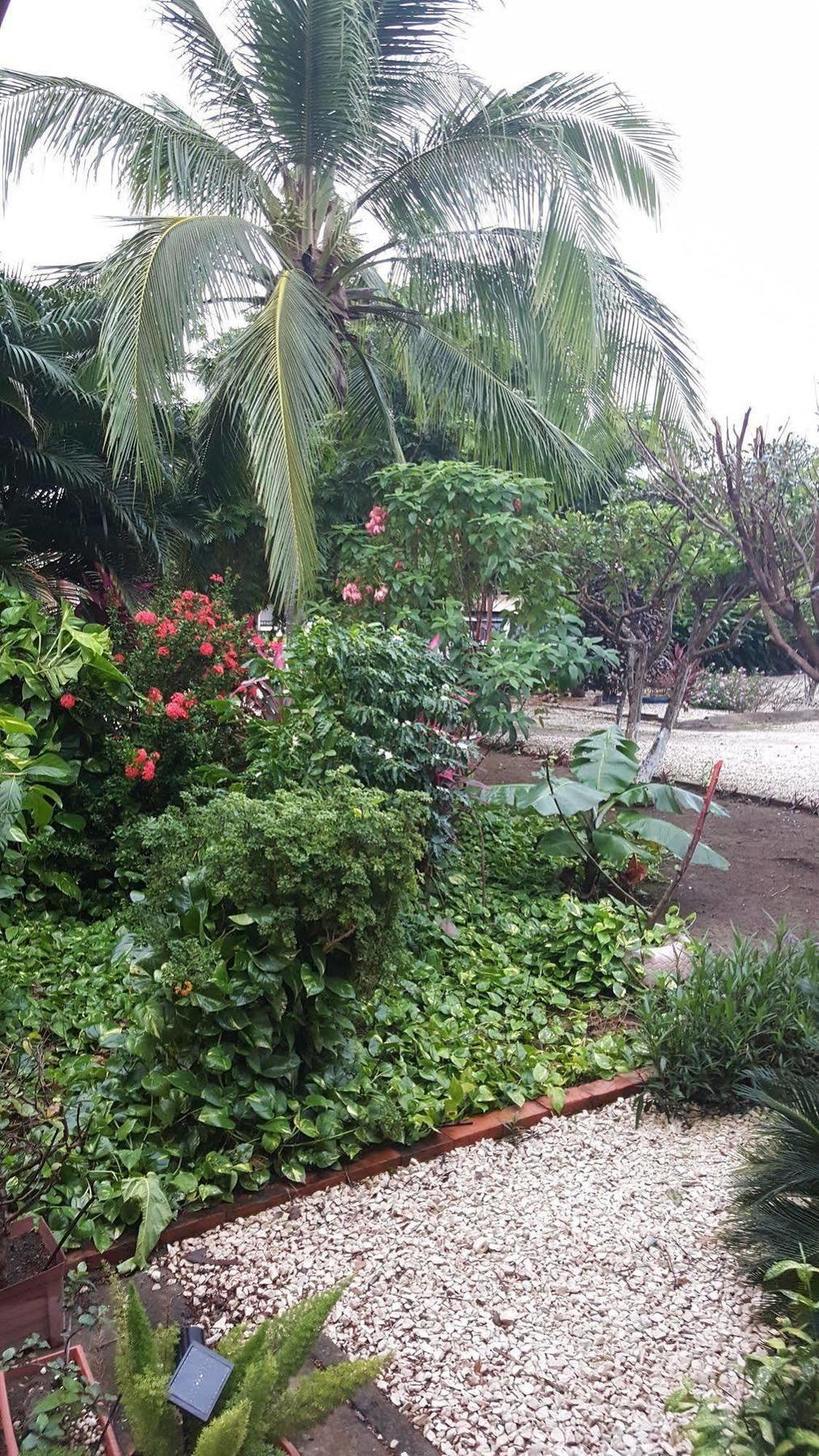 Hotel La Arena Liberia Ngoại thất bức ảnh
