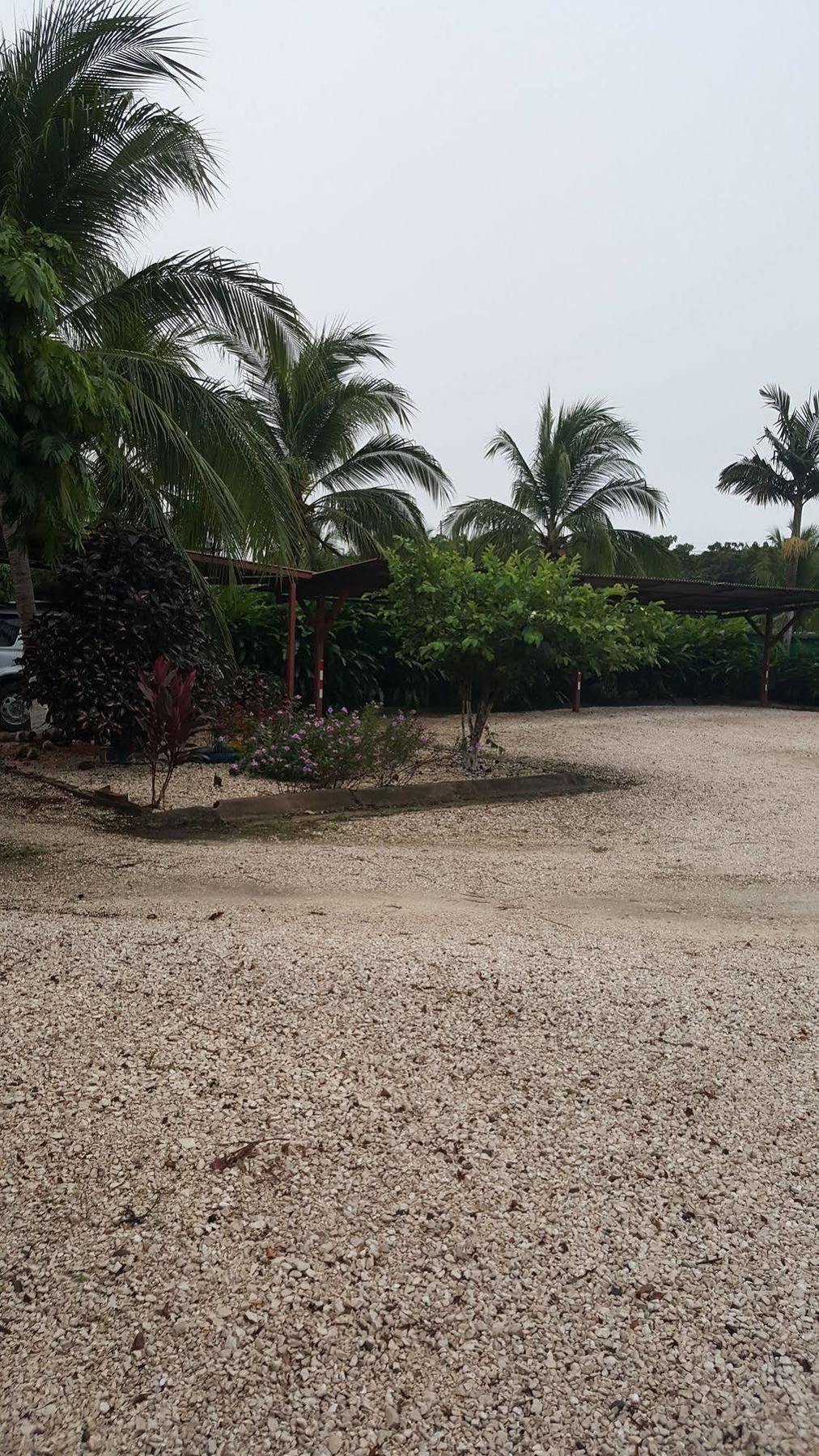 Hotel La Arena Liberia Ngoại thất bức ảnh