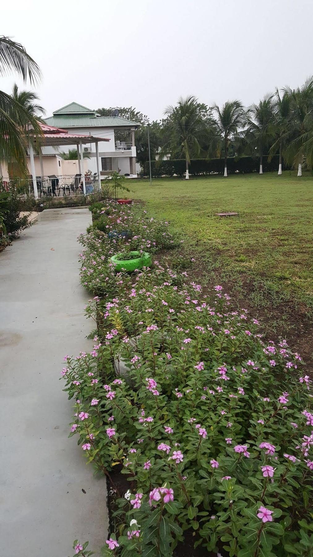 Hotel La Arena Liberia Ngoại thất bức ảnh